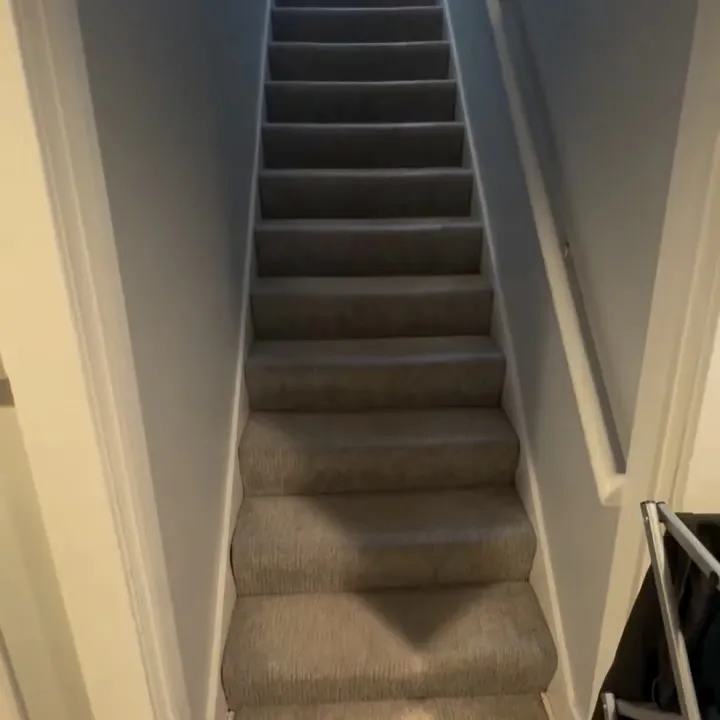 Staircase — fresh carpet, paint, and trim